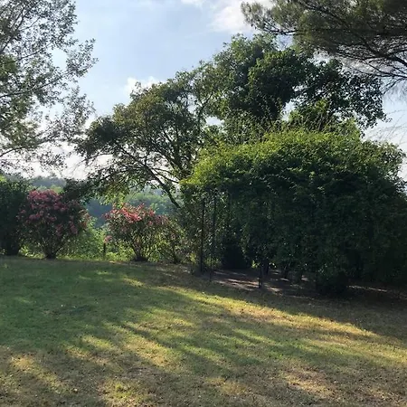 La Casa Nel Bosco *