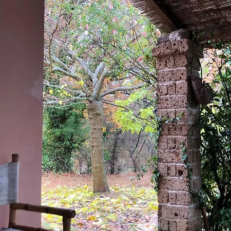 La Casa Nel Bosco Lari