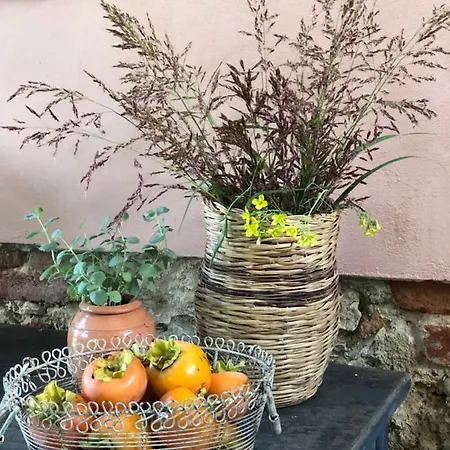 La Casa Nel Bosco * Lari