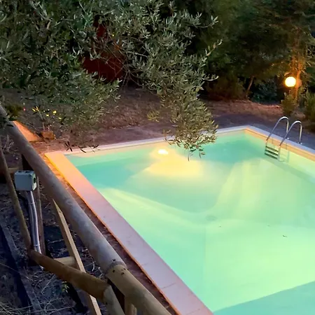 La Casa Nel Bosco *