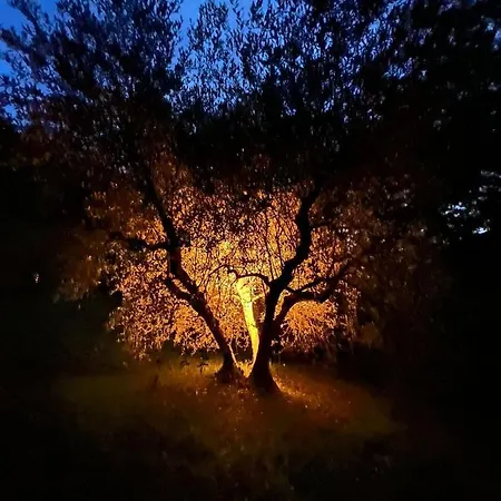 La Casa Nel Bosco * Lari