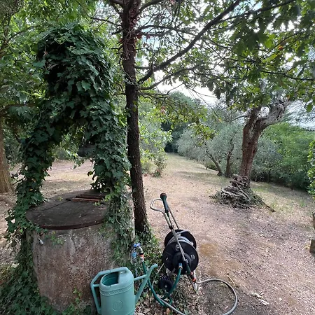 Villa Podere Montemarchi *